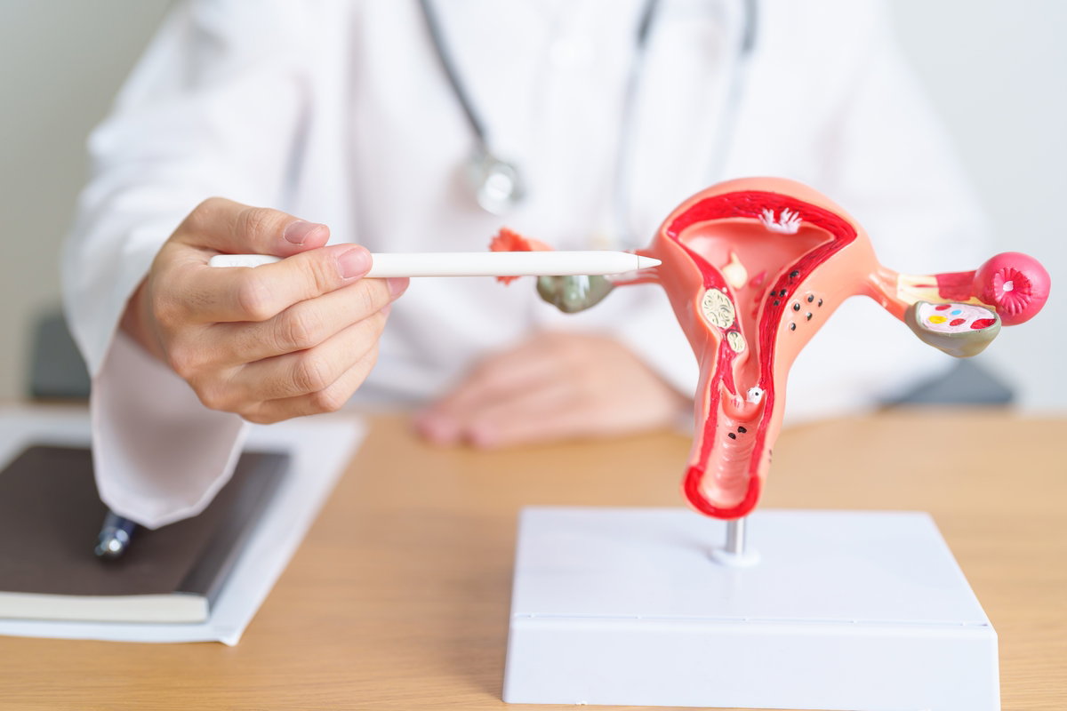 Entendendo o sistema reprodutor feminino: funções e cuidados essenciais