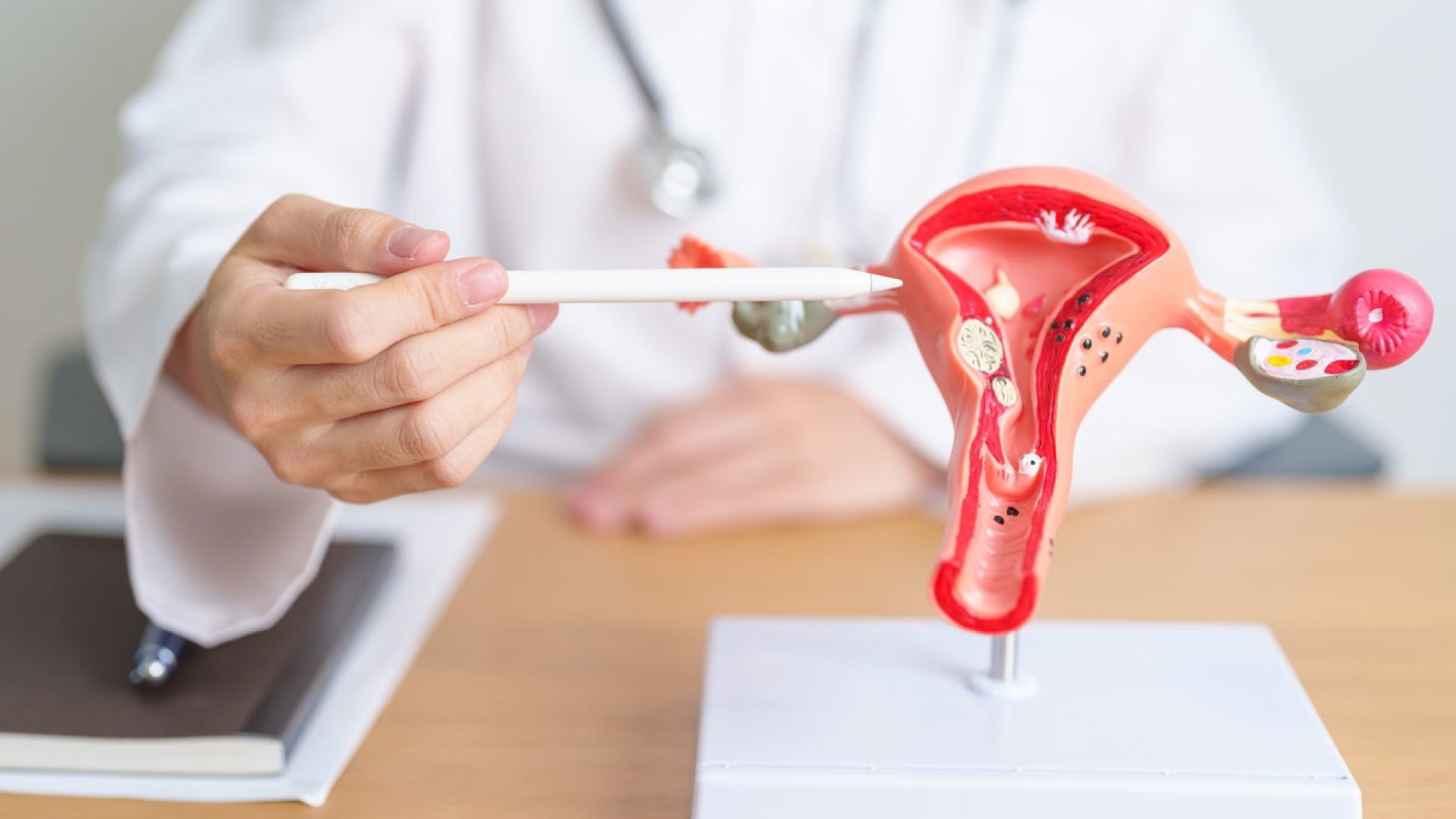 Entendendo o sistema reprodutor feminino: funções e cuidados essenciais