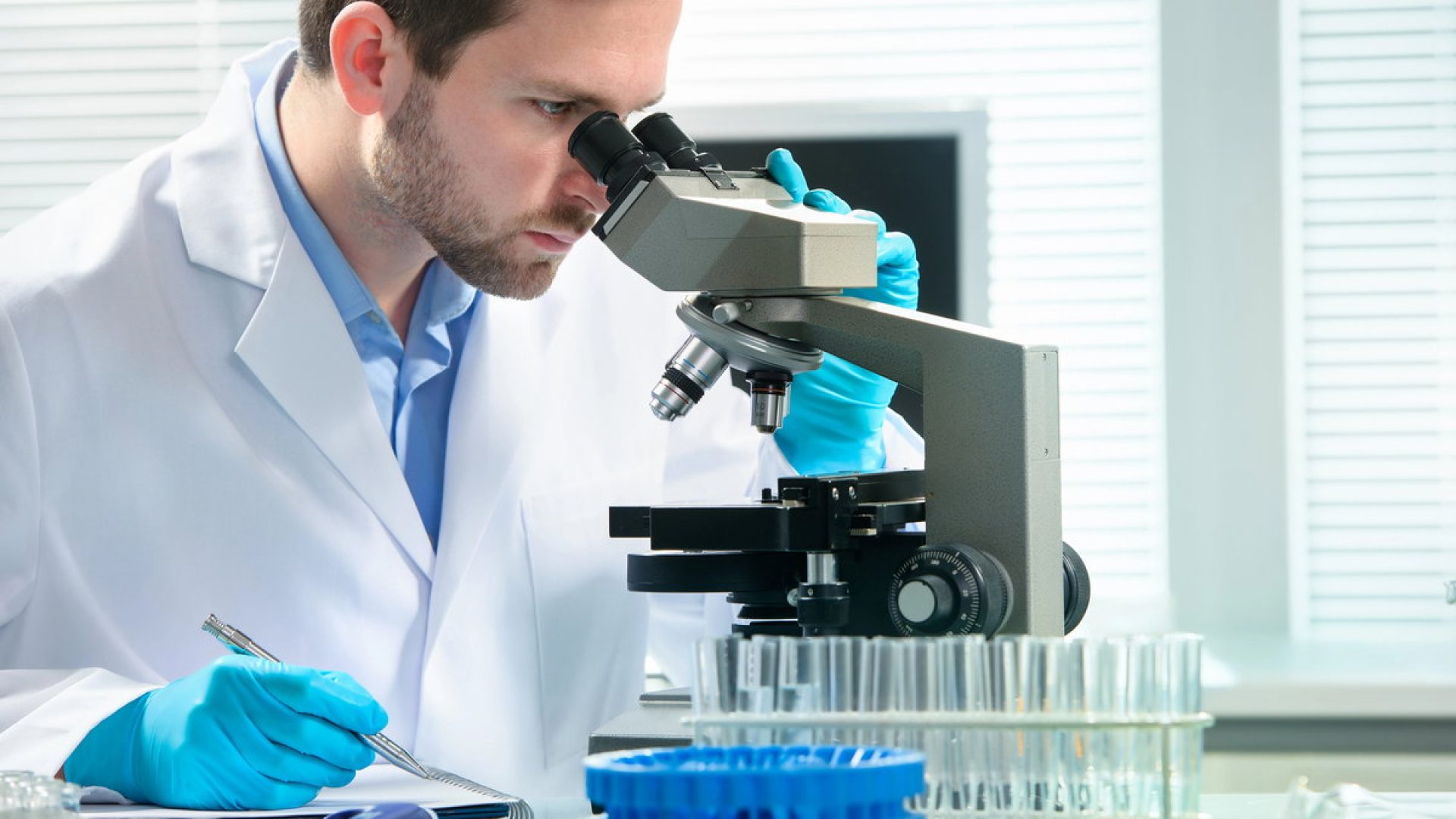 Imunohistoquímica: como funciona e sua importância no diagnóstico de doenças